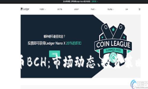 深入探索虚拟币BCH:市场动态、投资策略与技术前景