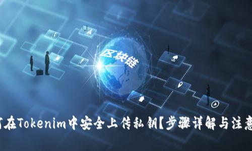 如何在Tokenim中安全上传私钥?步骤详解与注意事项