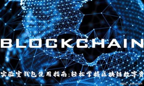 区块链实验室钱包使用指南：轻松掌握区块链数字资产管理