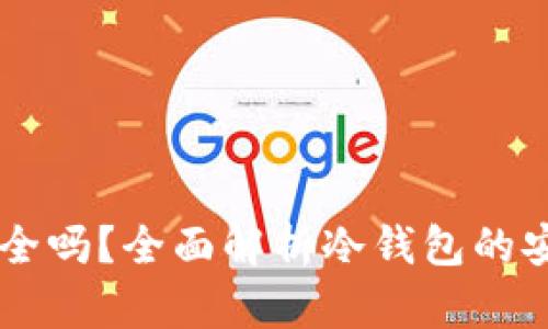 冷钱包IM钱包安全吗？全面解析冷钱包的安全性与使用技巧