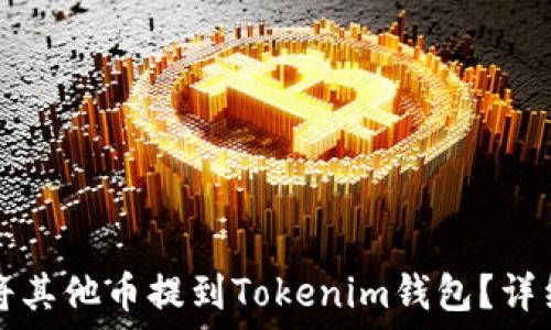 如何将其他币提到Tokenim钱包?详细指南