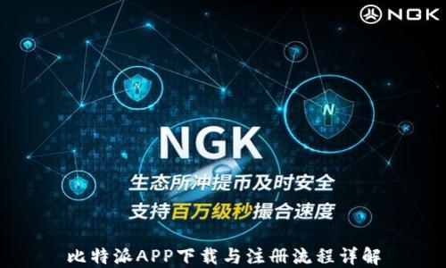 比特派APP下载与注册流程详解
