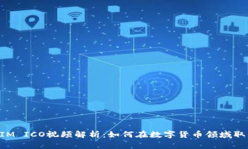 TokenIM ICO视频解析:如何在数字货币领域取得成功