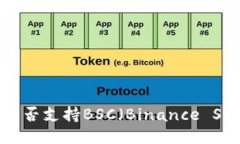 Tokenim钱包是否支持BSC（