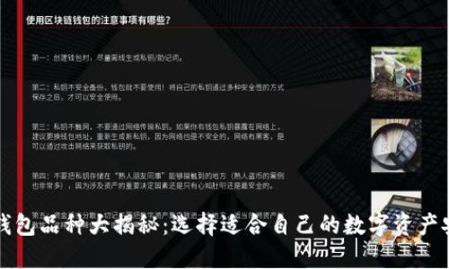 区块链钱包品种大揭秘：选择适合自己的数字资产安全方案