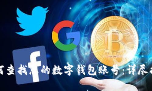 如何查找您的数字钱包账号：详尽指南