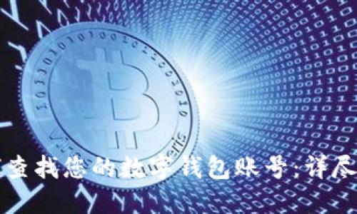 如何查找您的数字钱包账号：详尽指南
