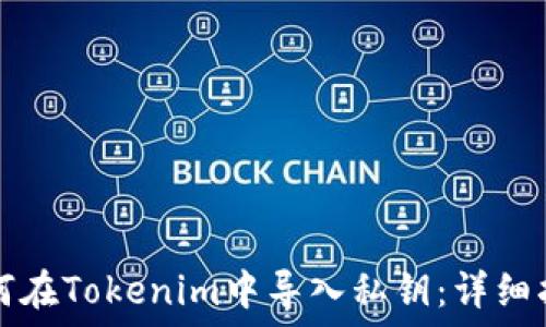 如何在Tokenim中导入私钥:详细指南