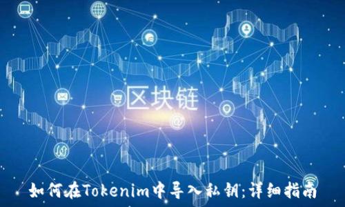 如何在Tokenim中导入私钥:详细指南
