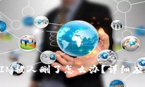 TokenIM被人删了怎么办？详细应对指南