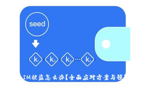 TokenIM被盗怎么办？全面应对方案与预防措施