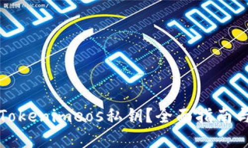 如何找回Tokenimeos私钥?全面指南与解决方案