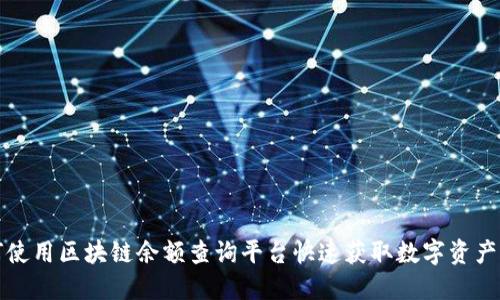 如何使用区块链余额查询平台快速获取数字资产信息