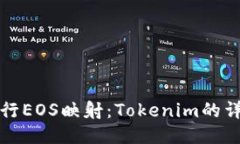 如何进行EOS映射：Tokenim的