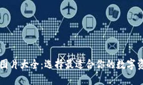 虚拟币钱包图片大全：选择最适合你的数字资产管理方案