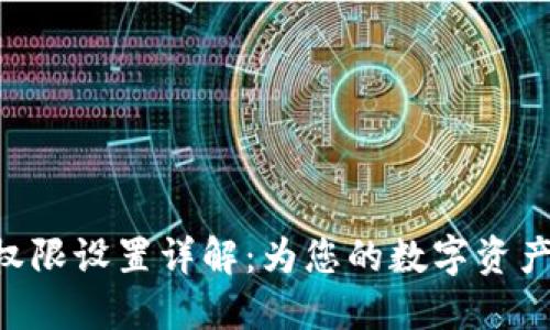 Tokenim权限设置详解：为您的数字资产保驾护航