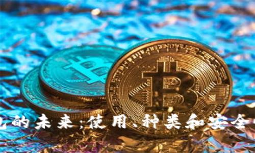 区块链钱包的未来:使用、种类和安全性全面解析