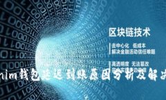 Tokenim钱包延迟到账原因分