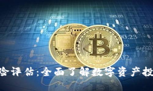 Tokenim风险评估：全面了解数字资产投资的安全性