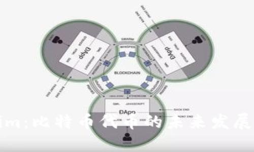 Tokenim：比特币代币的未来发展与应用