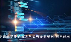 : 2023年中国数字资产交易