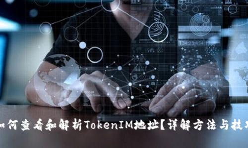 如何查看和解析TokenIM地址？详解方法与技巧