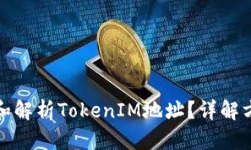 如何查看和解析TokenIM地址？详解方法与技巧