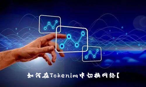 如何在Tokenim中切换网络？