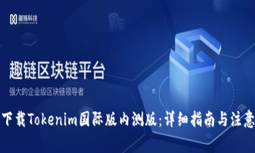 如何下载Tokenim国际版内测版：详细指南与注意事项