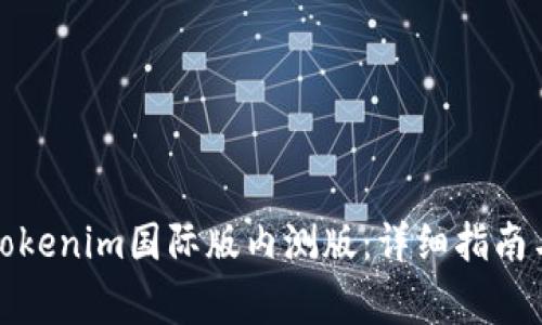 如何下载Tokenim国际版内测版：详细指南与注意事项