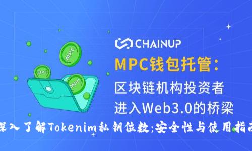 深入了解Tokenim私钥位数:安全性与使用指南