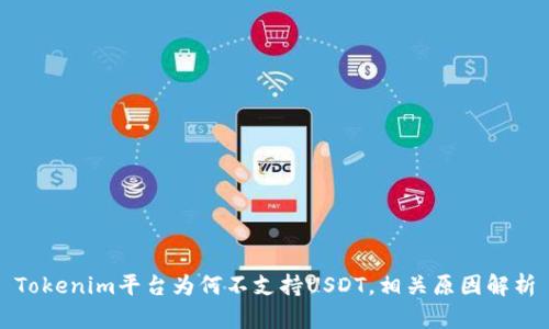 Tokenim平台为何不支持USDT，相关原因解析