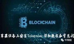如何在苹果设备上安装T