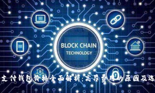 区块链支付钱包价格全面解析:高昂费用的原因及选择指南