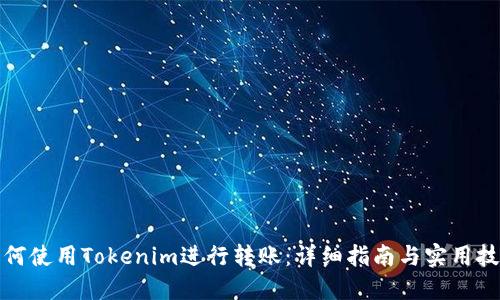如何使用Tokenim进行转账:详细指南与实用技巧