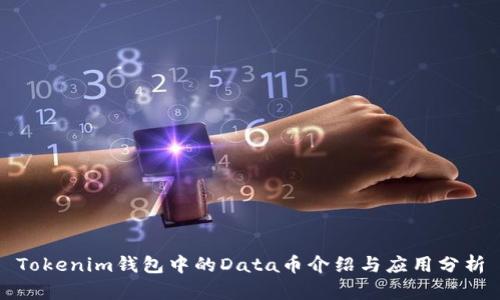 Tokenim钱包中的Data币介绍与应用分析