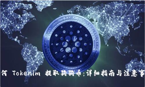 如何 Tokenim 提取狗狗币：详细指南与注意事项