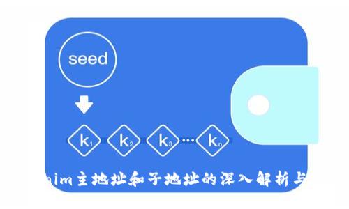 tokenim主地址和子地址的深入解析与应用