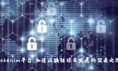 Tokenim平台：加速区块链项