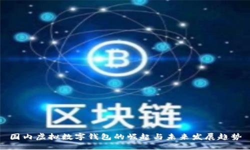 国内虚拟数字钱包的崛起与未来发展趋势