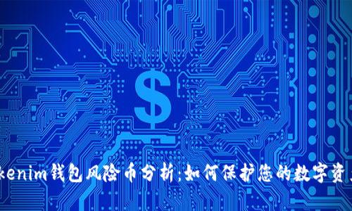 tokenim钱包风险币分析：如何保护您的数字资产？