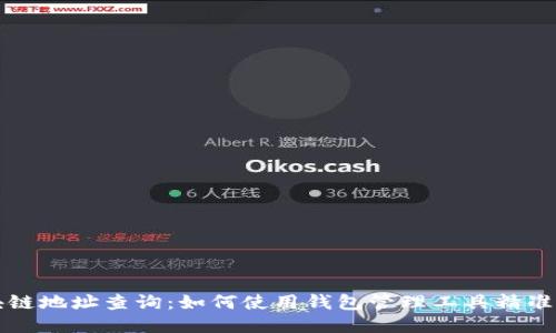 区块链地址查询:如何使用钱包管理工具精准查找