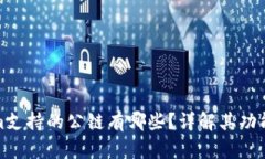 Tokenim支持的公链有哪些？