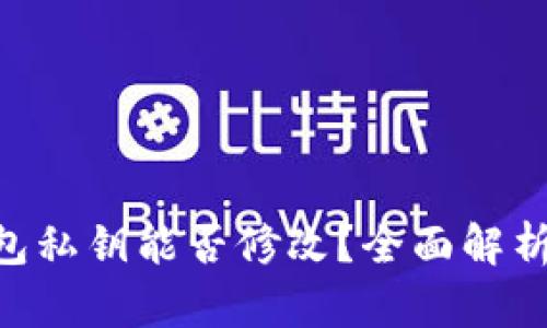 Tokenim钱包私钥能否修改?全面解析与风险评估