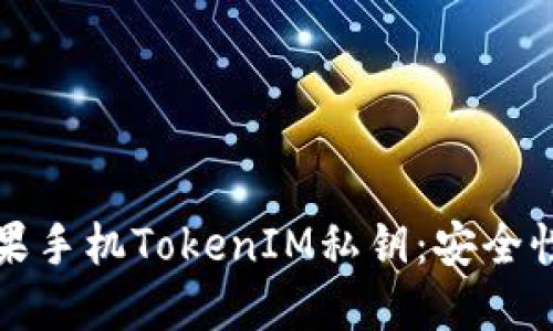 深入了解苹果手机TokenIM私钥:安全性与使用技巧