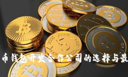 数字货币钱包开发合作公司的选择与最佳实践