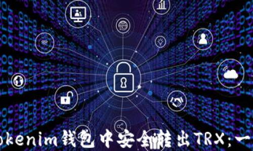 
如何在Tokenim钱包中安全转出TRX：一步步指南