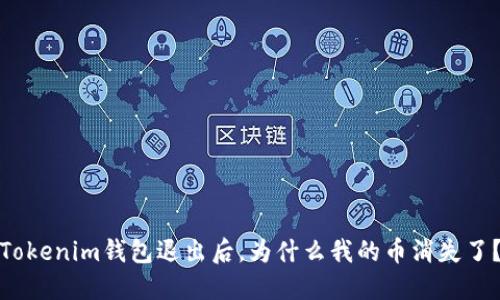 Tokenim钱包退出后,为什么我的币消失了?