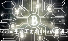 ### Tokenim平台不支持BNB的原