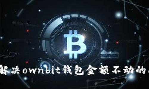 如何解决ownbit钱包金额不动的问题?